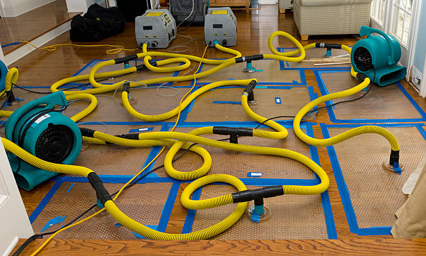 Professional Crawl Space Water Removal technician working in Saint Johns, FL